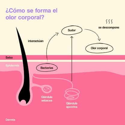 Pack de 2 Desodorizantes Caring Smart Microbiome Freshly 40ml