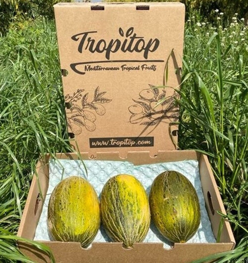 Caja De Melón Piel De Sapo Tropitop Caja De 3 Unidades (aprox. 10 Kg )_3