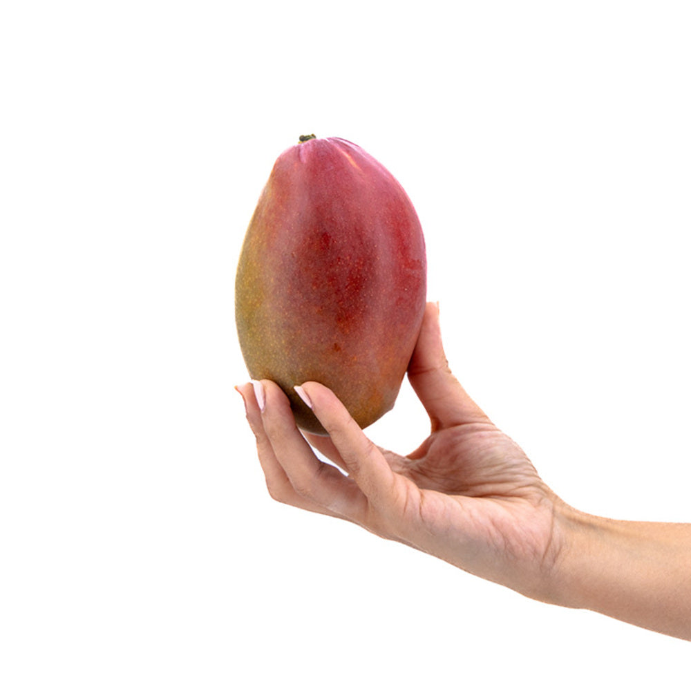 Mango Osteen 4kg Granada La Palma_3