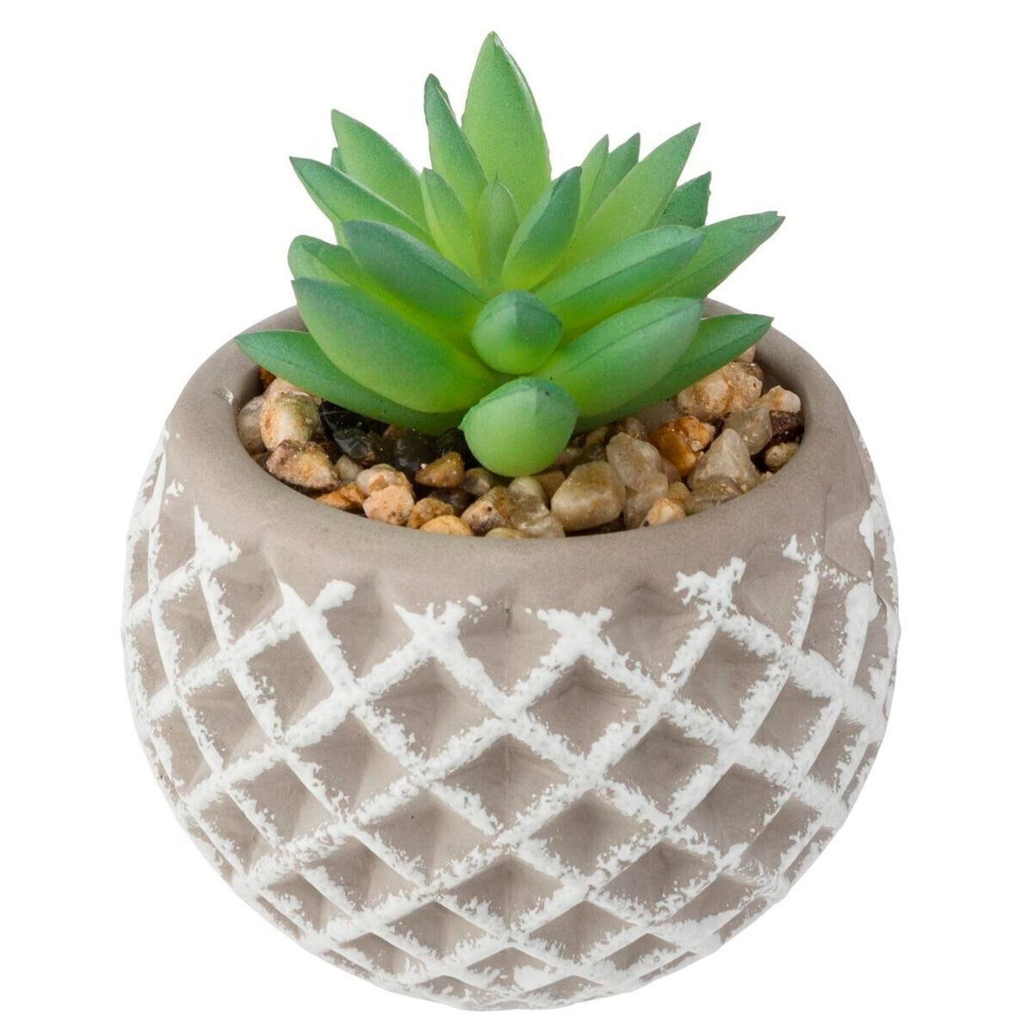 Olla De Cemento Suculenta 8x9