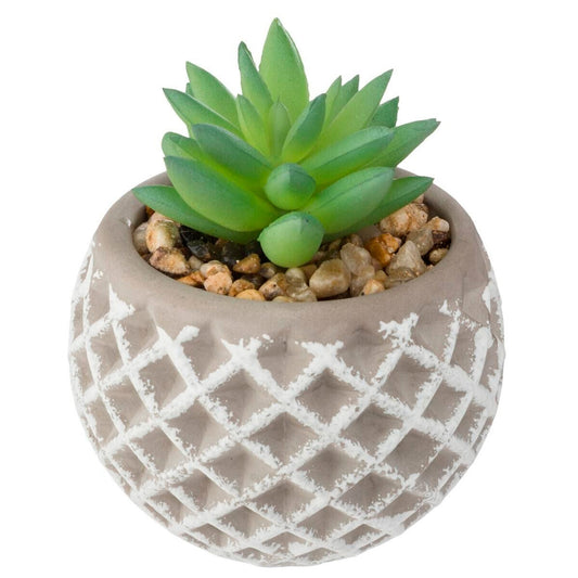 Olla De Cemento Suculenta 8x9