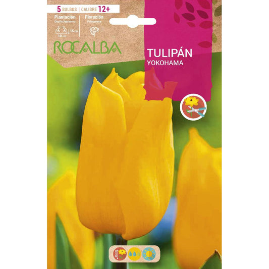 Bulbo de Tulipa Yokohama Amarela 5 unidades Rocalba