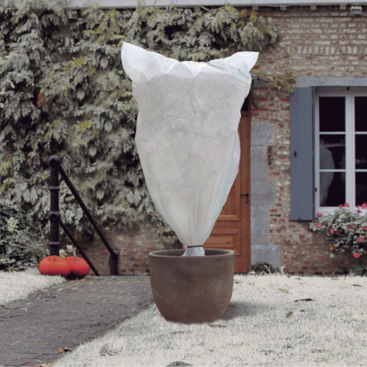 Saco de inverno Saco de inverno Saco de inverno Saco de inverno 0,65 x 1,50 m Nortene 3 unid.