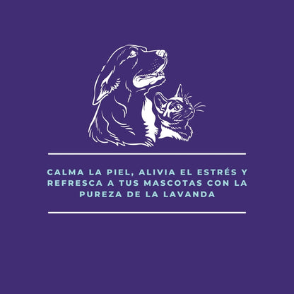 Hidrolato de Lavanda – Agua Aromática Natural para Limpieza, Relajación y Protección de Tus Mascotas - 250 ml_2
