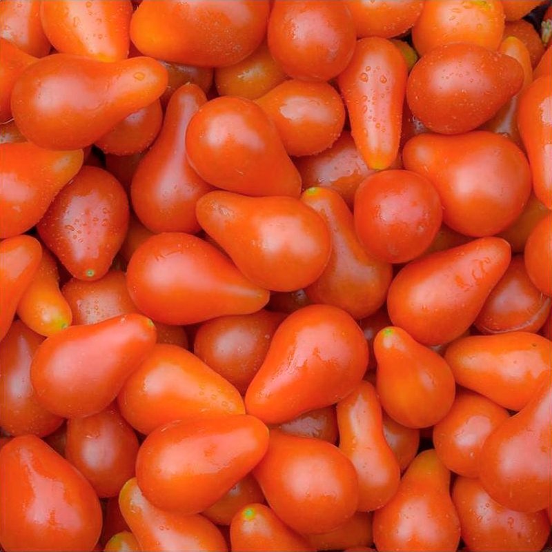 Semillas Tomate Red Pear Ecológicas_0