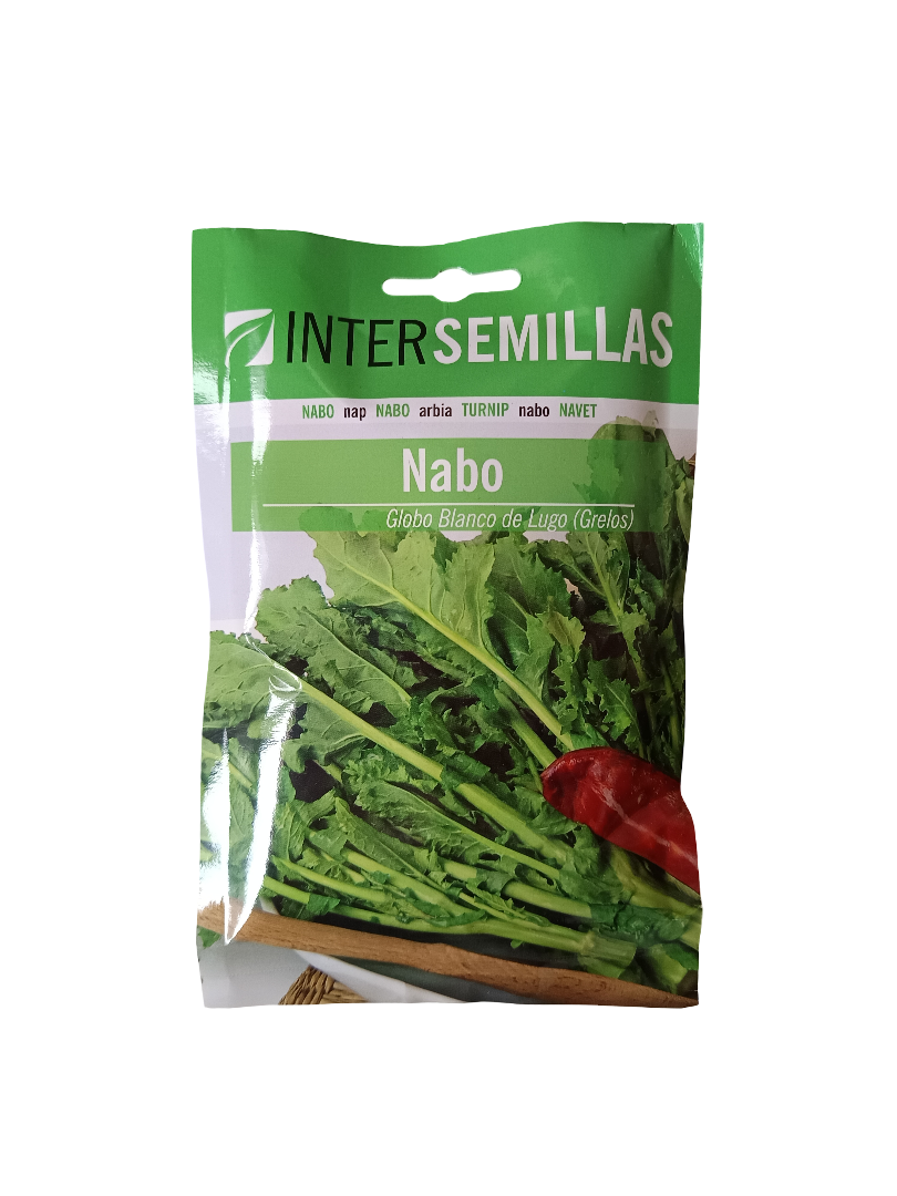 Semillas De Nabo Variedad Globo Blanco De Lugo Grelos 100 Gr._0