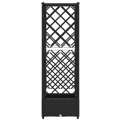 Cama Elevada Con Trellis Y Techo Negro 122,5 X 40 X 121 Cm Pp_4