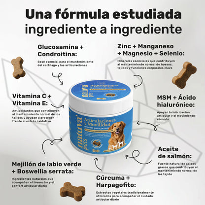 Pack Condroprotector + Aceite De Salmón Para Perros. Suplementos Mascotas. 240 Masticables. Natuva Pets_2