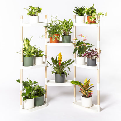 Soporte Modular Citysens De 8 Bandejas – Blanco, Polipropileno 100% Reciclado Y Madera Ecológica Pefc_0