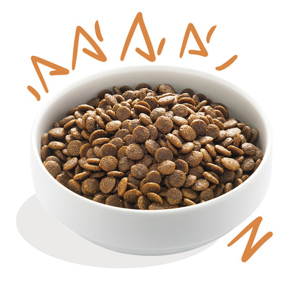 Ração Edgard &amp; Cooper Free Range Chicken para cães 7 kg