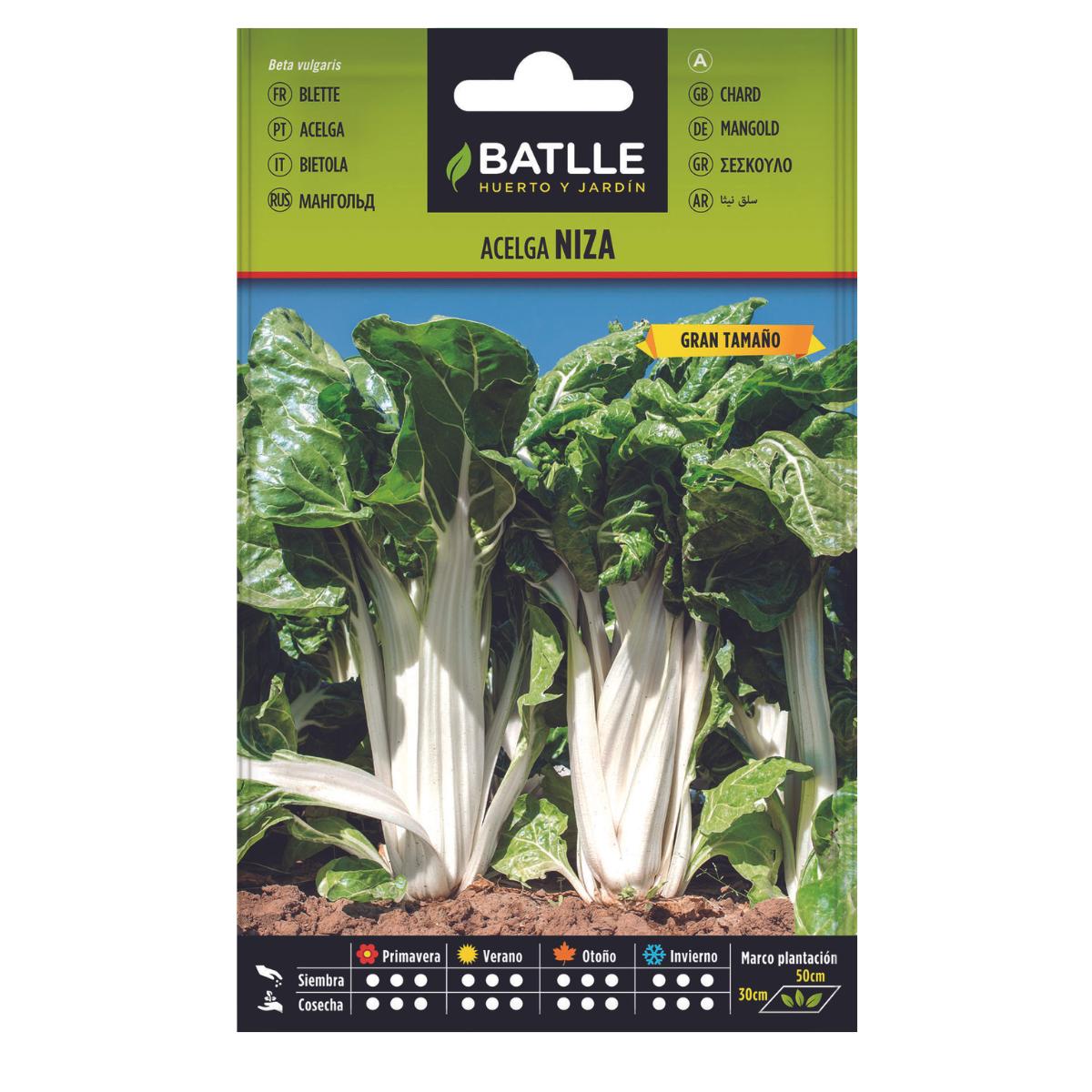Sementes de acelga Nice Batlle