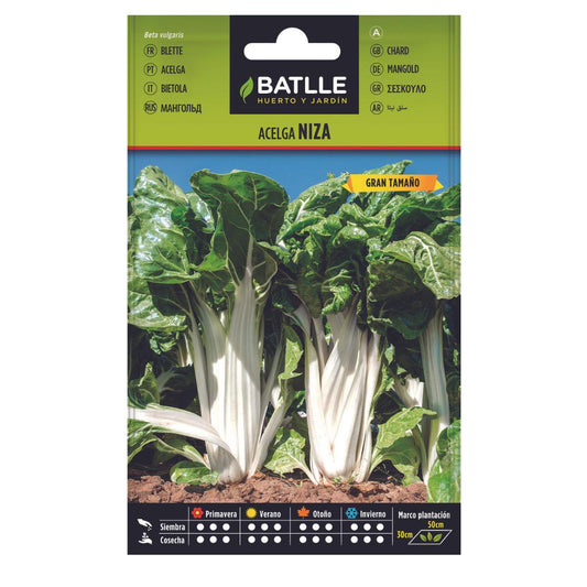 Sementes de acelga Nice Batlle