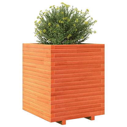 Jardinera Exterior Madera Maciza Pino Marrón Cera 60x60x72 Cm_3