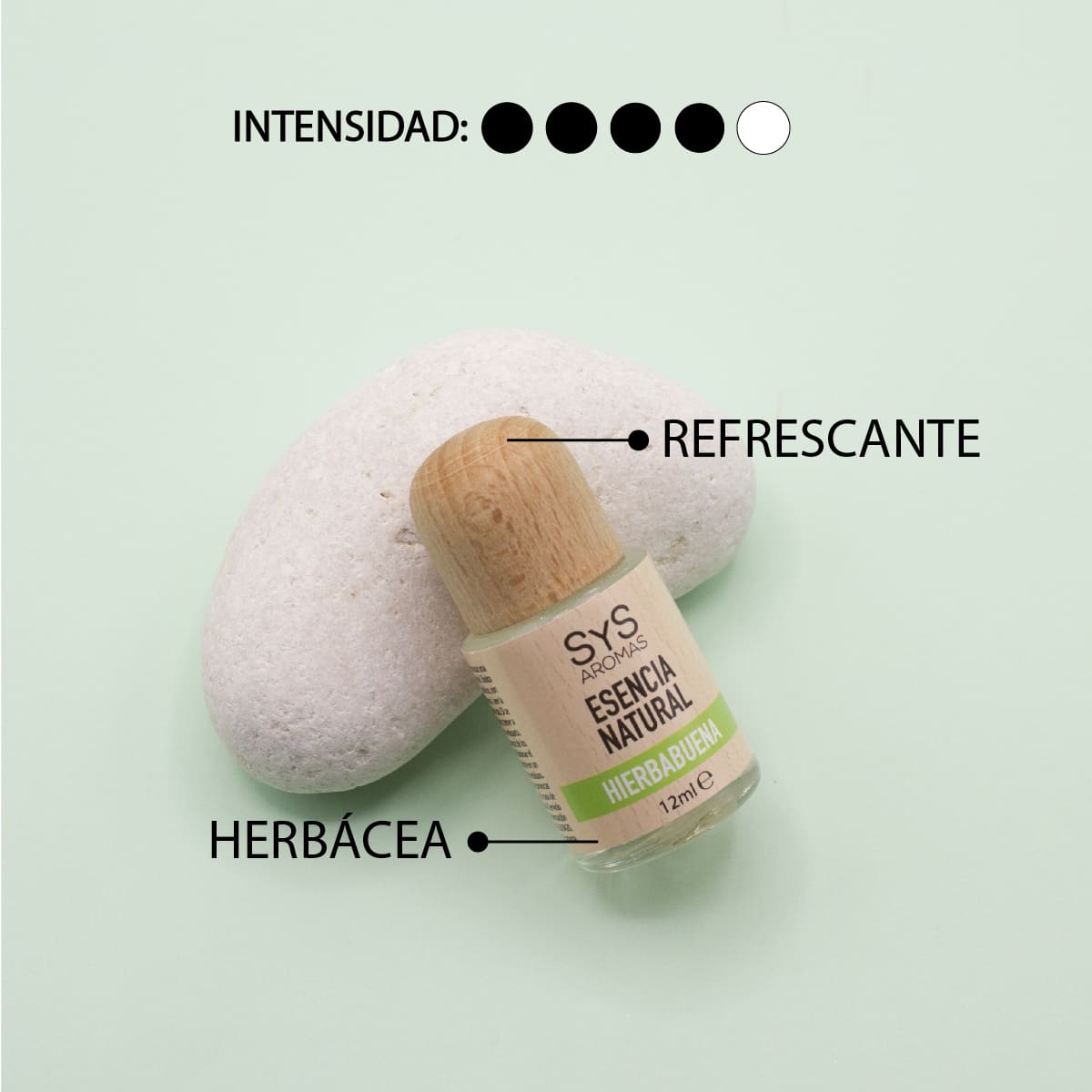 Esencia Natural Hierbabuena SYS Aromas 12 ml | Aroma Fresco y Herbal | Para Quemadores y Humidificadores_3