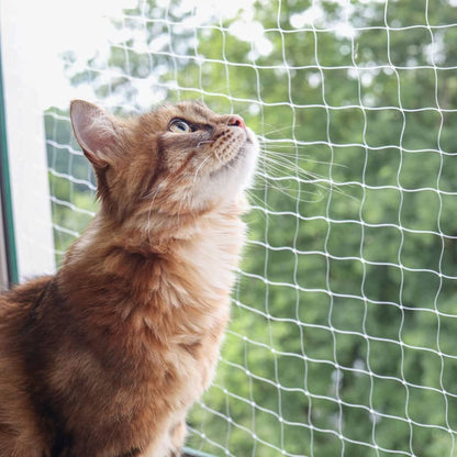Kerbl Red De Seguridad Para Gatos Transparente 6x3 M_2