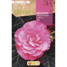 Bolbo de Begônia de flor dupla com flores de camélia rosa, 2 unidades (5/7)
