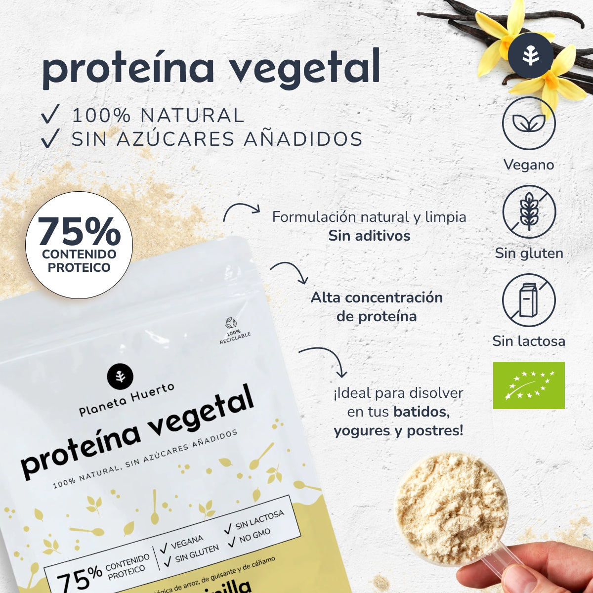 Proteína vegetal Eco 75% baunilha Planeta Huerto 500 g