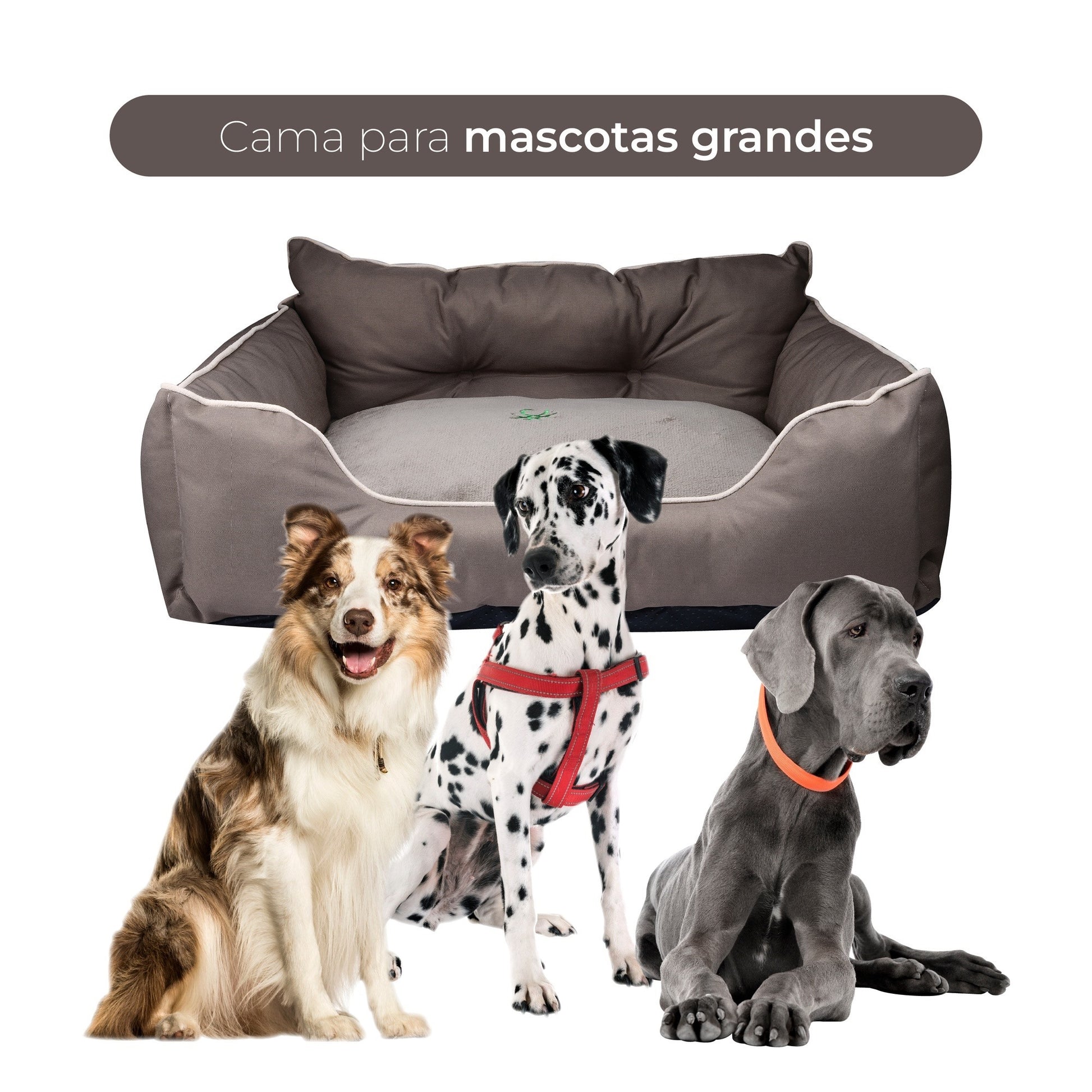 Cama Para Mascota 90x70x28cm Marrón + Abrigo Azul Para Mascotas 40cm_3