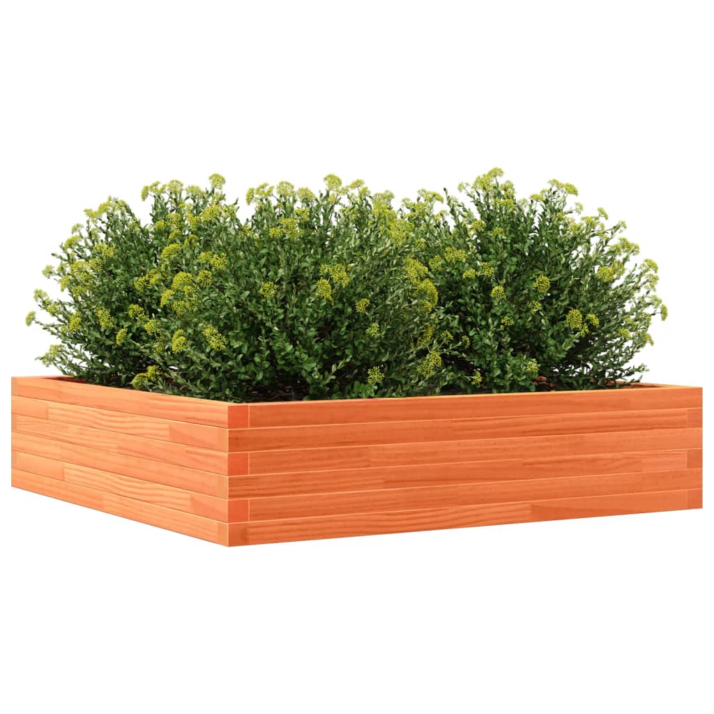 Jardinera De Madera Maciza De Pino Marrón Cera 100x100x23 Cm_3