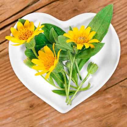 Jabón Natural De Árnica (90g) - Mejora Las Varices Y Hematomas - Alivia Las Piernas Cansadas - Cara Y Cuerpo_3