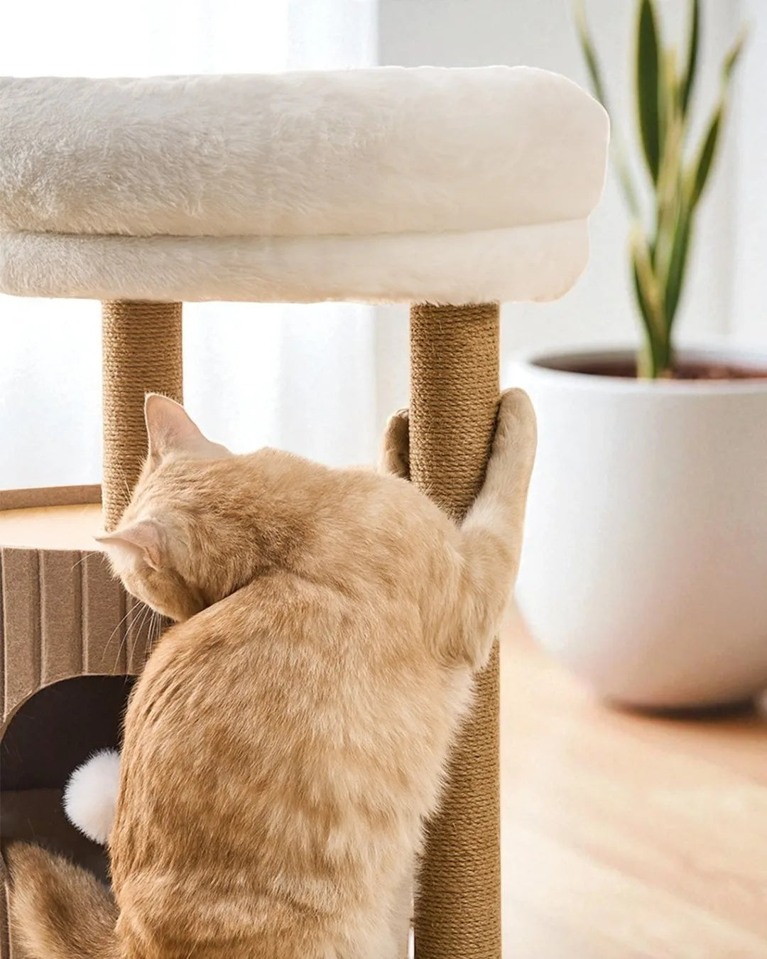 Árbol Para Gatos Horizonte Con Diseño Moderno Y Refugio Confortable Althea Living 61x41x93cm_4