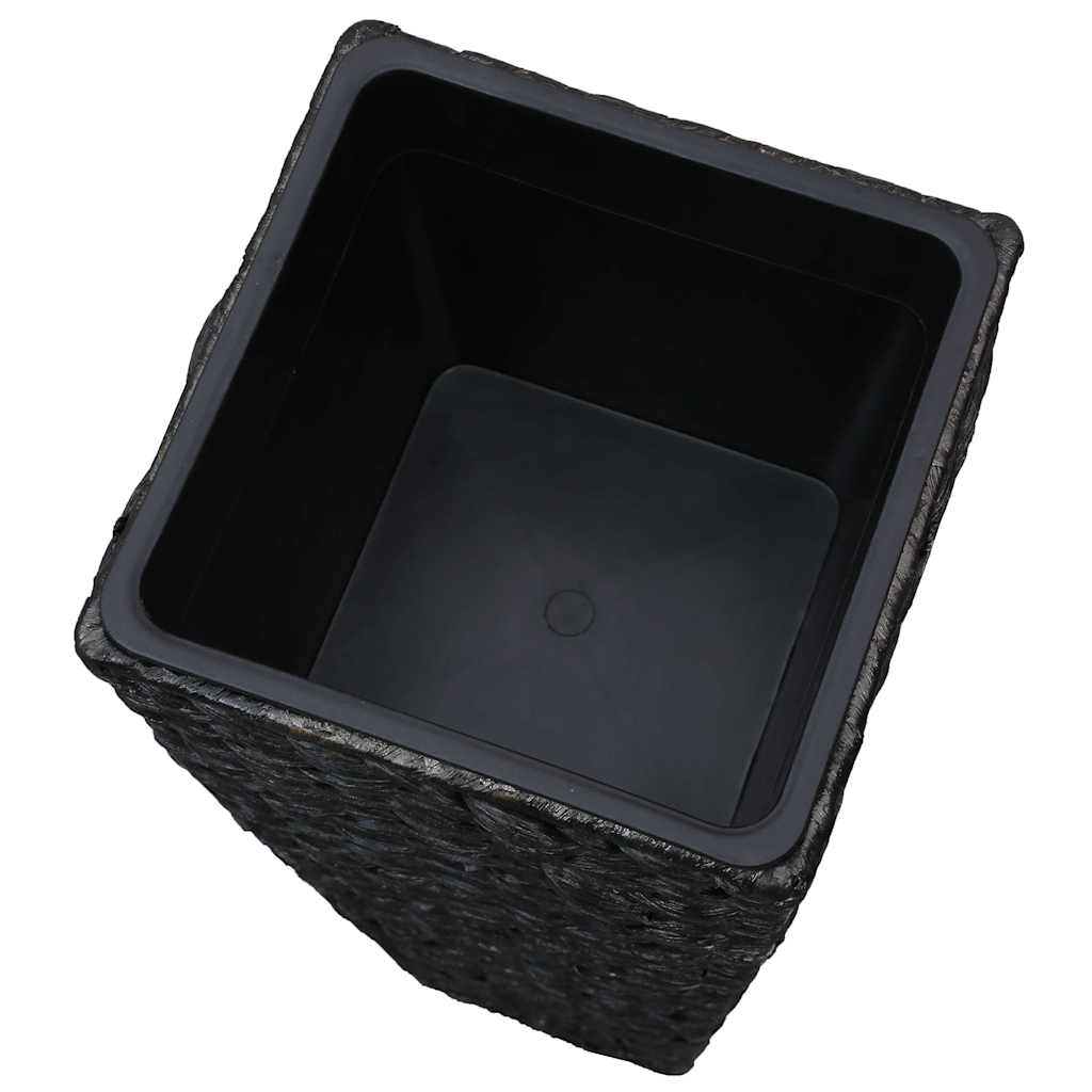 Conjunto De Arriates 3 Piezas Jacinto De Agua Negro_5