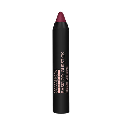 Pintalabios Berenjena Basic Colourstick 4g Camaleon Cosmetics_0