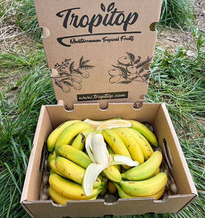 Caja De Plátanos De Canarias Tropitop Caja De 4kg_4