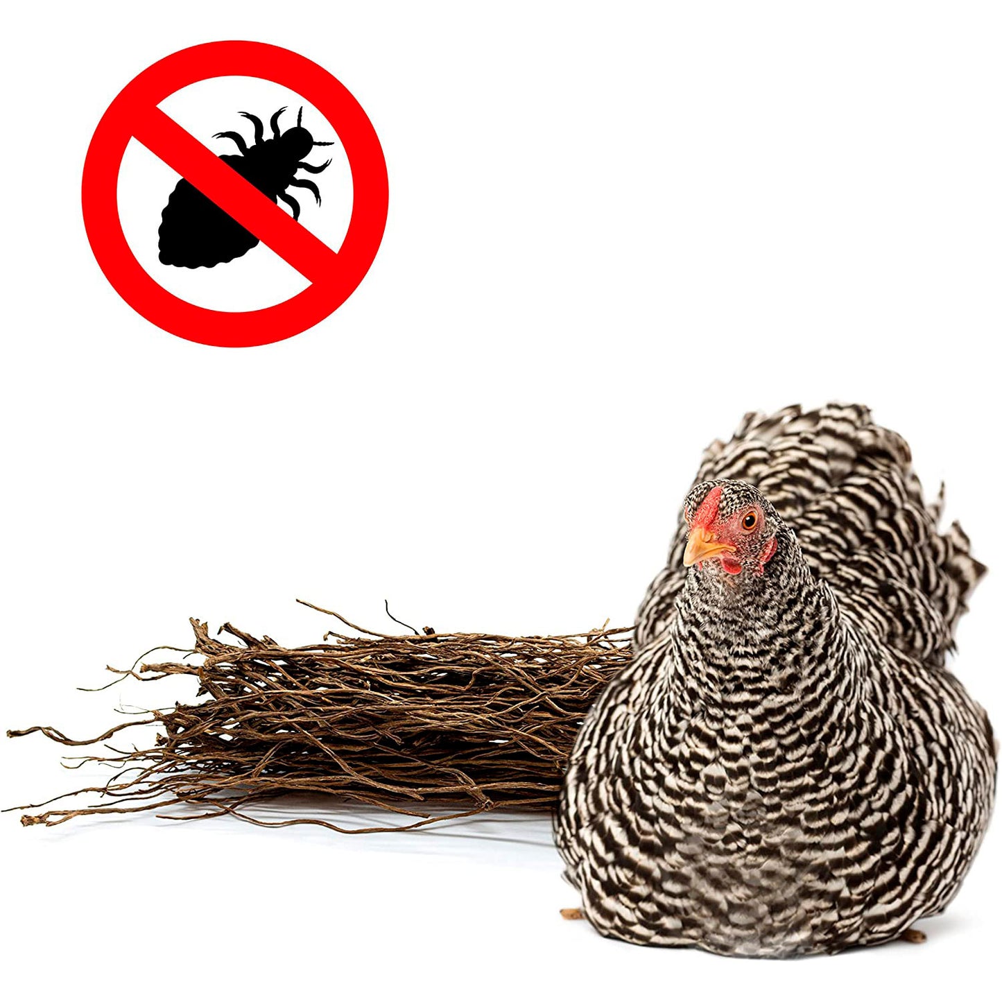 Fibra Vegetal Antipiojos Para Nidos De Paloma, Gallina Y Otras Aves - Ponederos Libres De Piojos Y Chinches_1