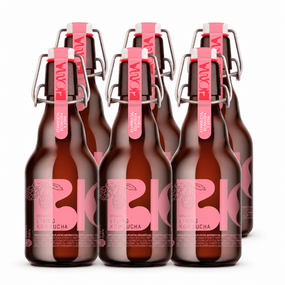 Kombucha Divine Light: Rosa, Frambuesa, Equinácea, Pasiflora Pack 6 Botellas 330 Ml_0