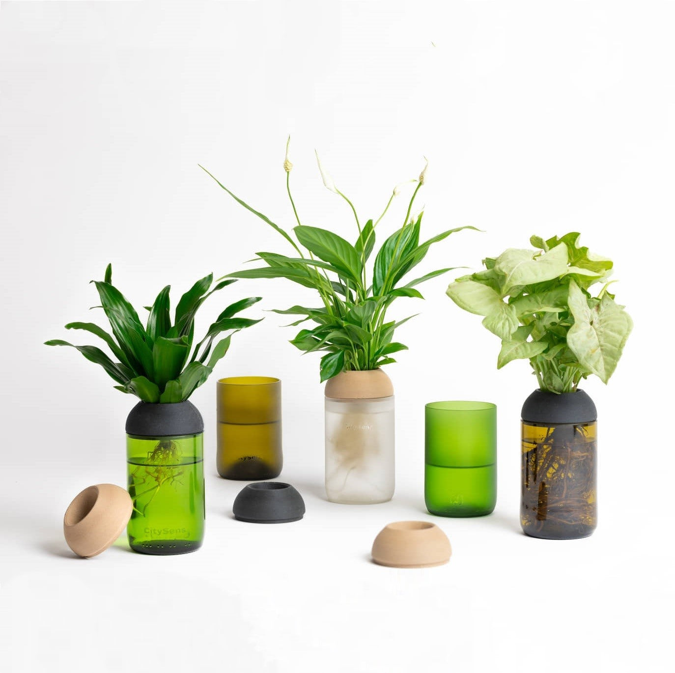 Macetero Transparente Citysens Con Soporte De Ébano – Verde, Vidrio Reutilizado Y Biofilamento De Madera 3d_3