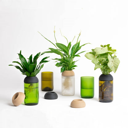 Macetero Transparente Citysens Con Soporte De Ébano – Verde, Vidrio Reutilizado Y Biofilamento De Madera 3d_3