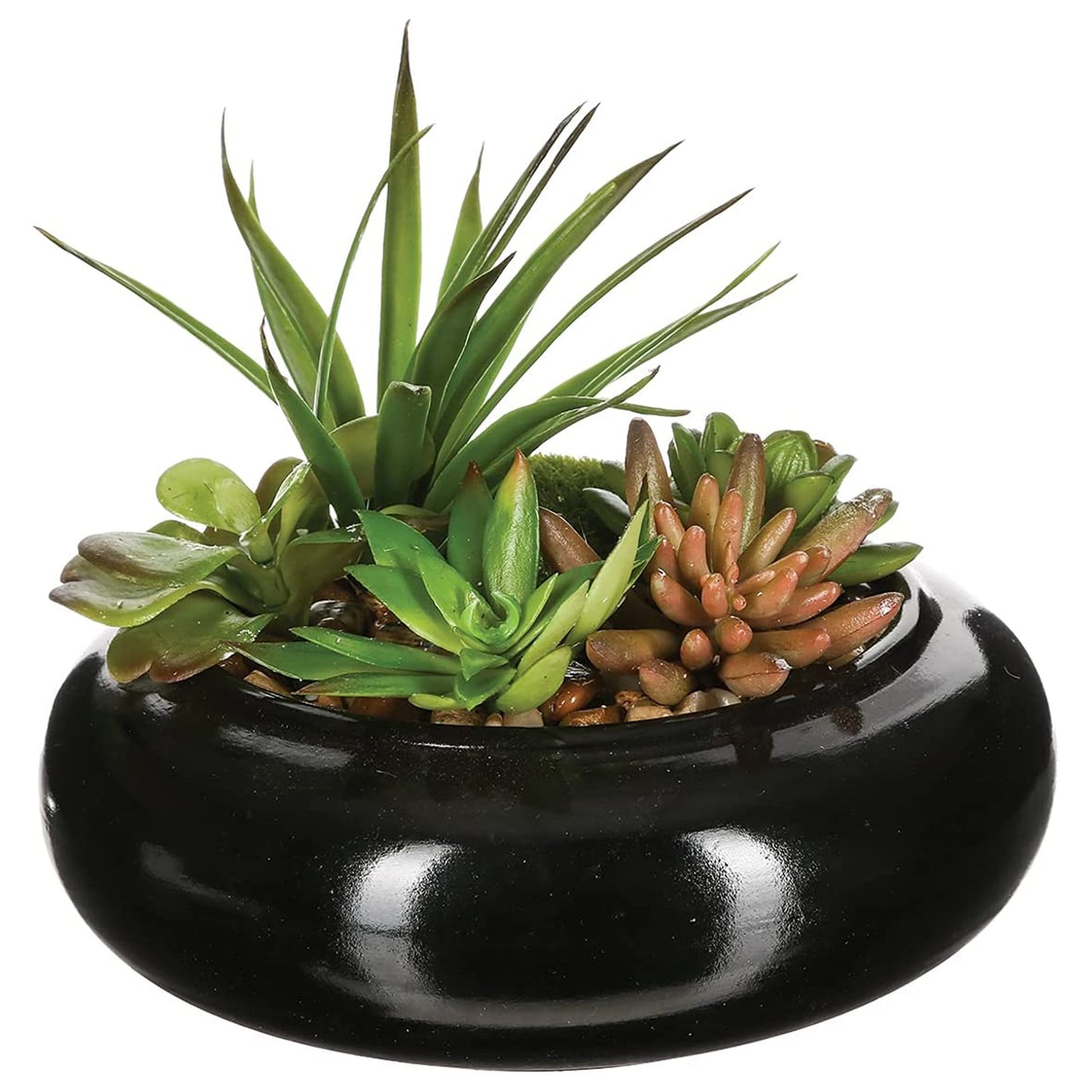 Composición De Centro: Surtido De Plantas Con Florero De Cerámica D20xh6_0
