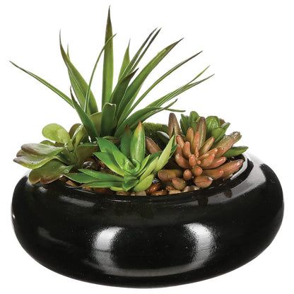 Composición De Centro: Surtido De Plantas Con Florero De Cerámica D20xh6_0