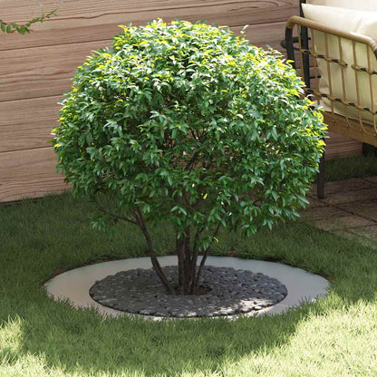 Adecuado Para Anillos De Árbol Plano 5 Uds. Plateado Ø60/90 Cm_1