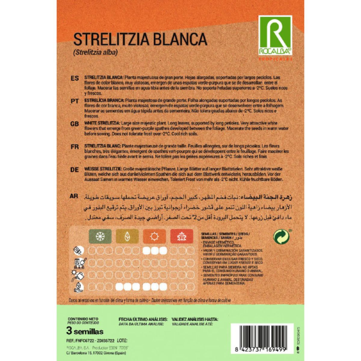 Sementes de Strelitzia branca