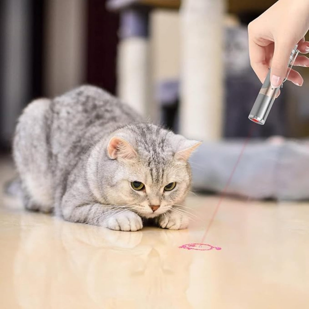 Intimeg Juguete Para Gatos Con Bolígrafo Láser_1