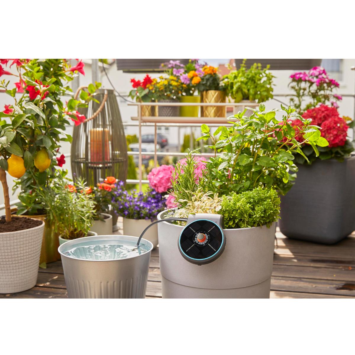Conjunto de rega Gardena Solar AquaBloom