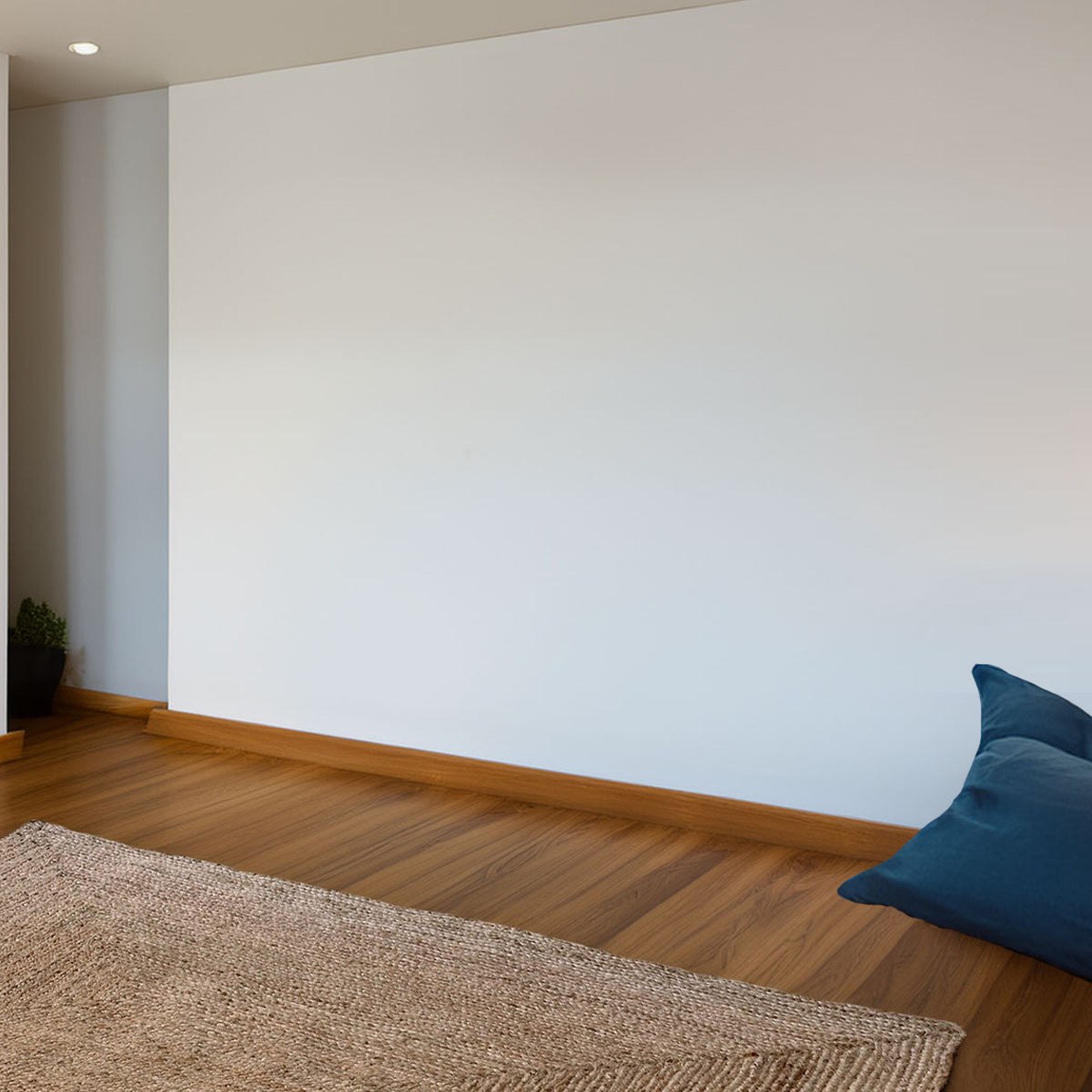 Wellhome Alfombra Yute Historia Natural 60x90cm_3