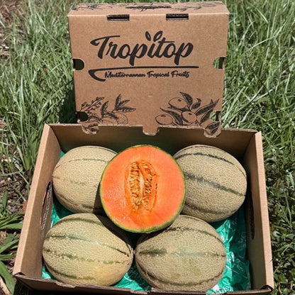 Caja De Melón Cantalupo Tropitop Caja De 3 Unidades (aprox. 4,5 Kg)_4