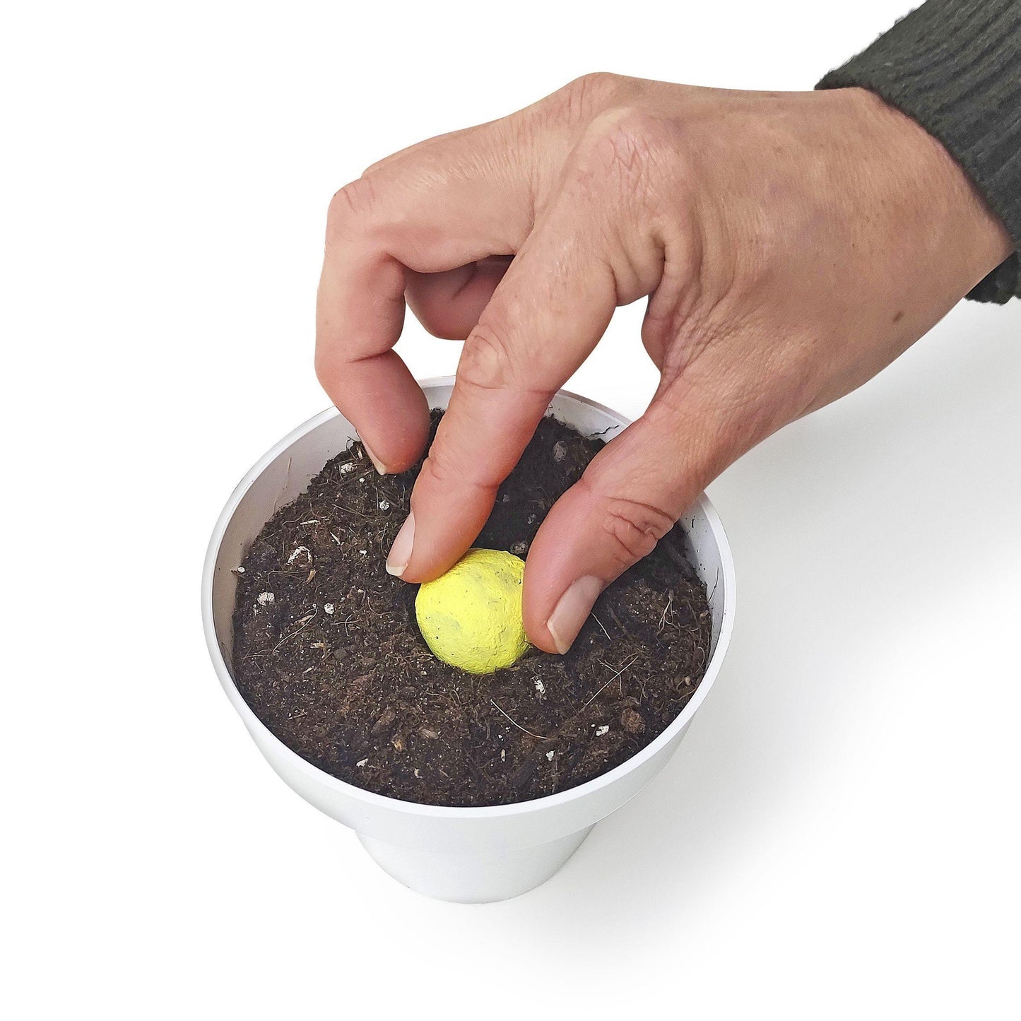 Bombas de sementes para jardim mediterrânico