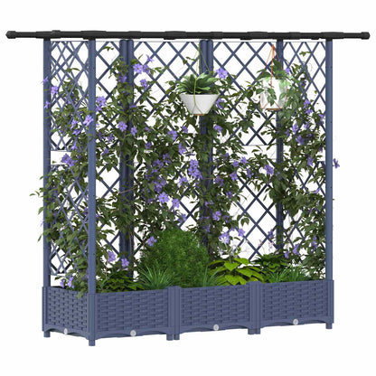 Cama Elevada Con Trellis Y Techo Gris 164 X 40 X 121 Cm Pp_2