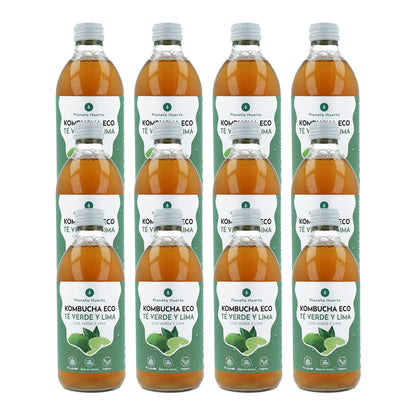 Pack 12x Kombucha ECO chá verde e lima Planeta Huerto 330 ml
