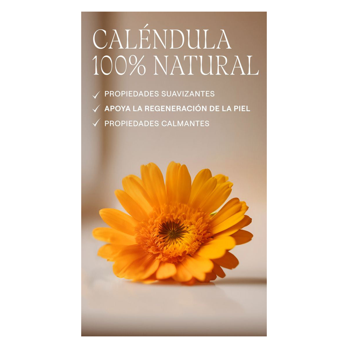 Duplo 2 unidades de Crema Pañal Weleda 75ml