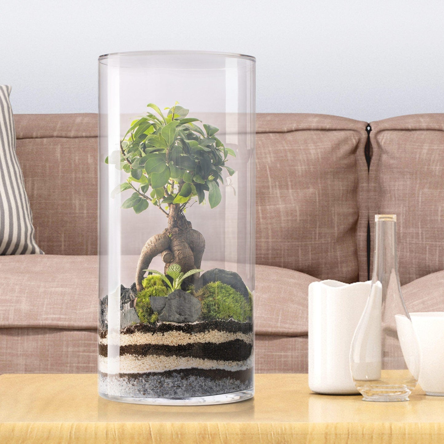 Terrário Amazonia Tower Ficus Ginseng Ø25 x 53 cm