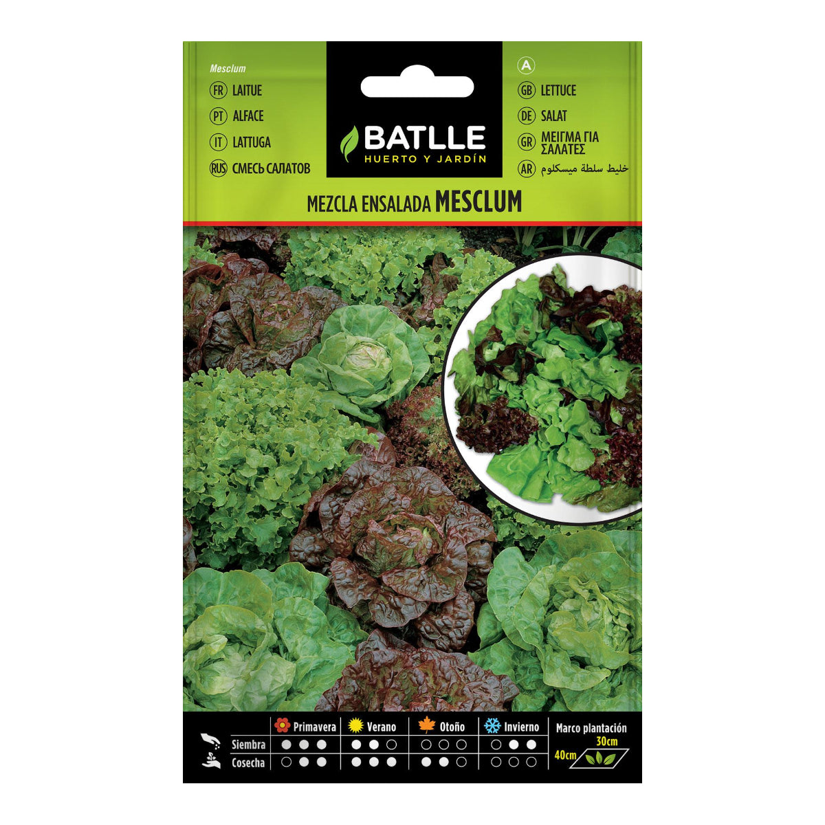 Sementes de alface Mesclun Batlle