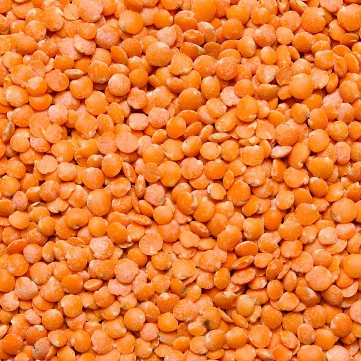 Lentejas Rojas Eco 500gr_2