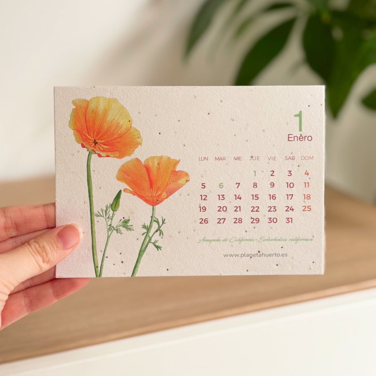 Calendário plantável de Natal 2026 Planeta Huerto Transforme o tempo em natureza