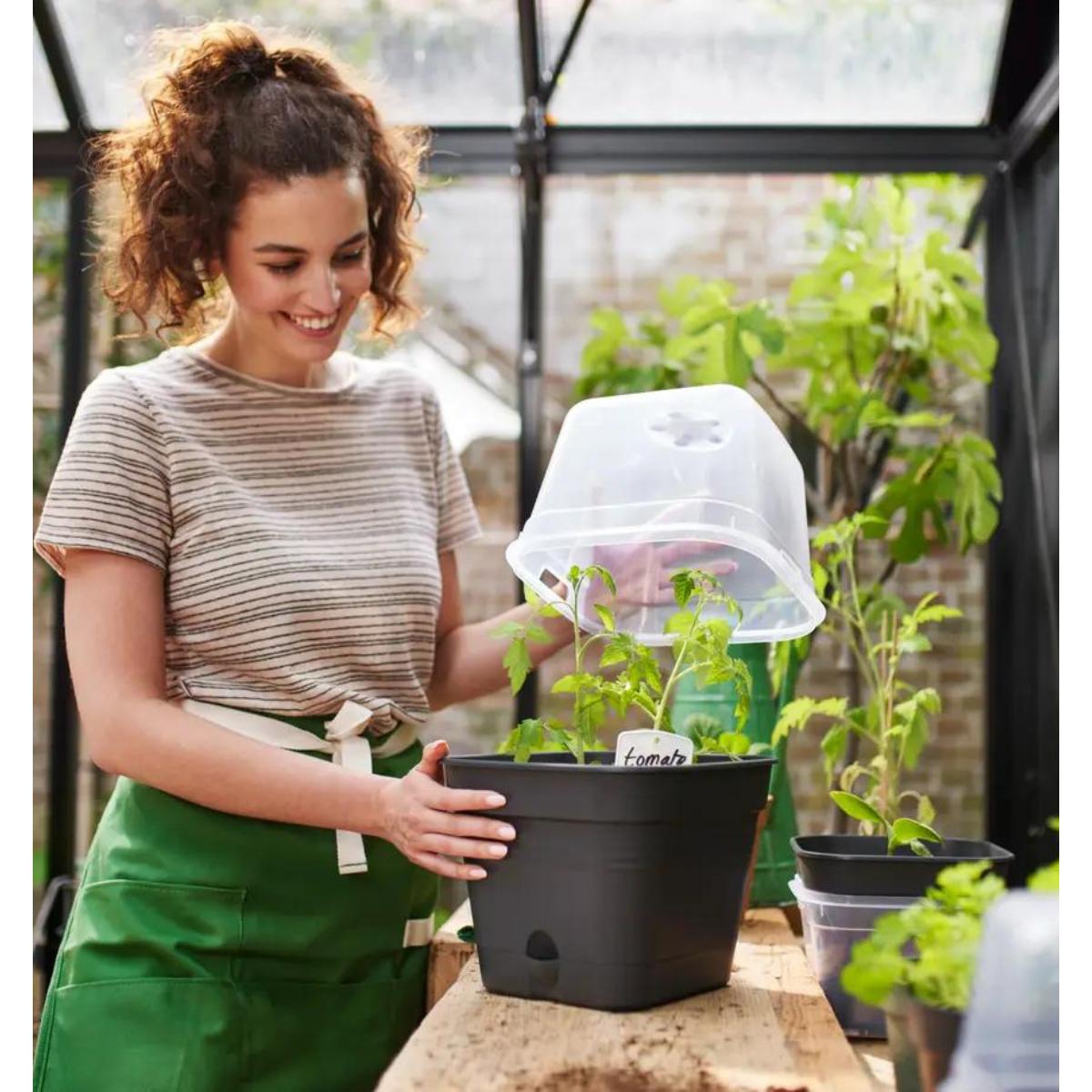 Vaso de cultivo ALLIN1 Green Basics Elho Antracite