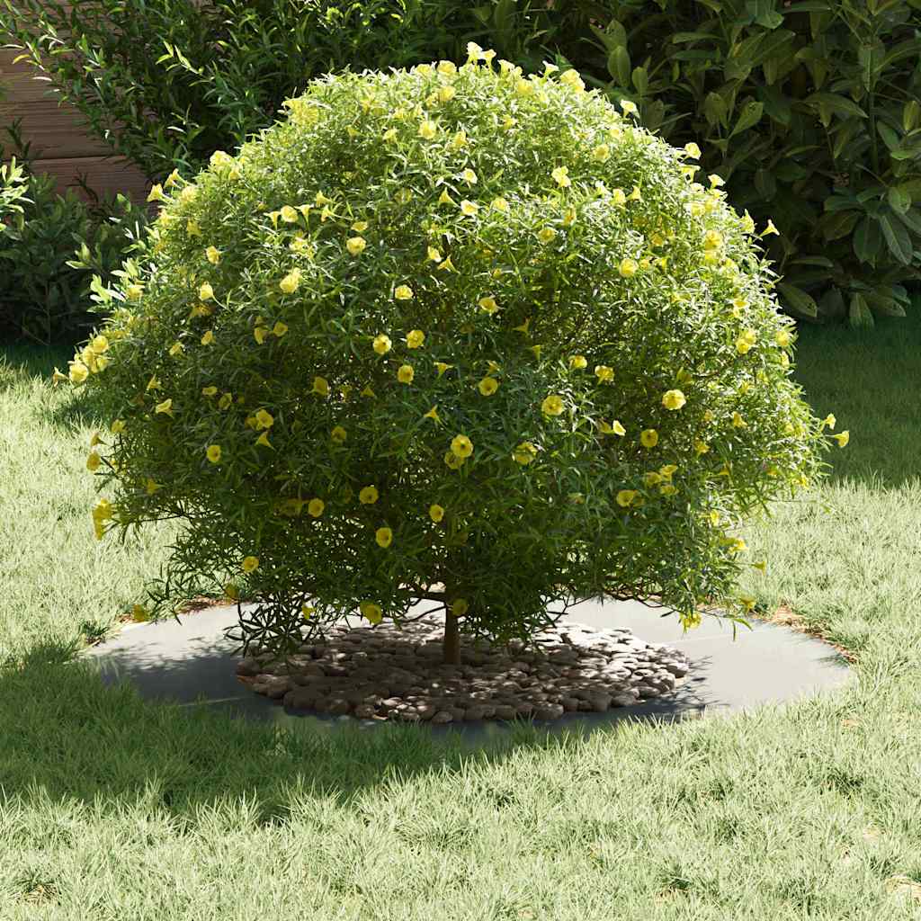 Adecuado Para Anillo De Árbol Plano Plateado Ø40/70 Cm_2